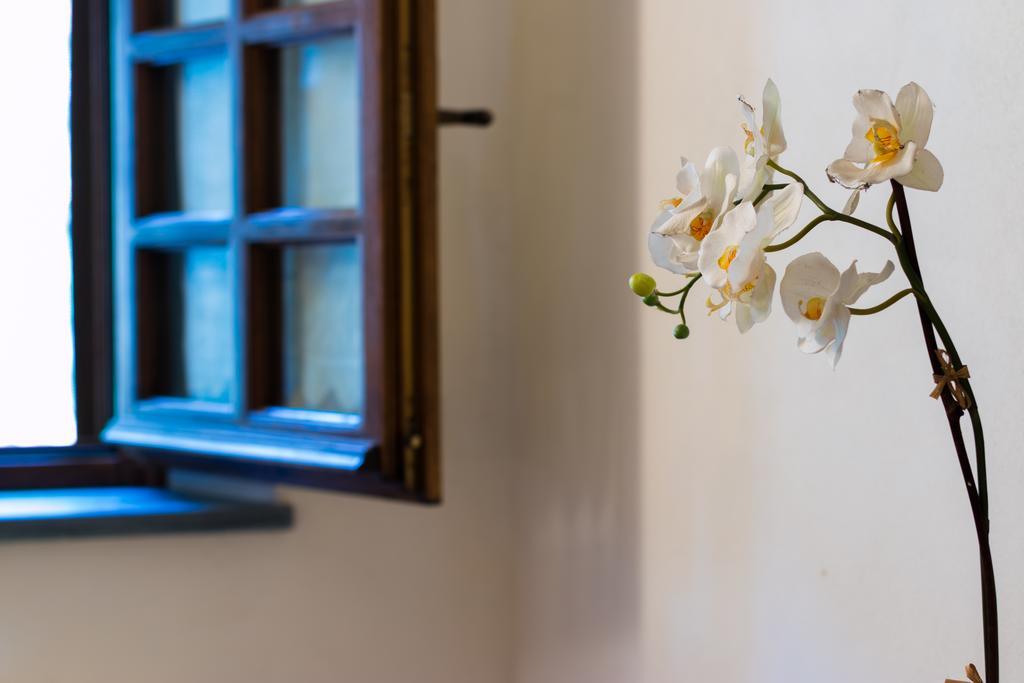 Casa Marta Villa Pescaglia Buitenkant foto
