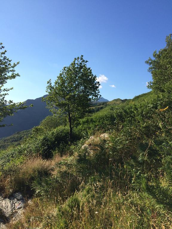 Casa Marta Villa Pescaglia Buitenkant foto